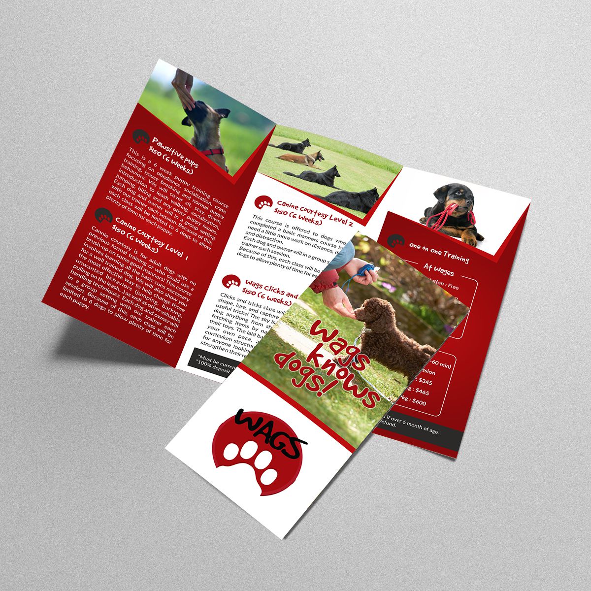 Wags Dog Training — Brochures & flyers