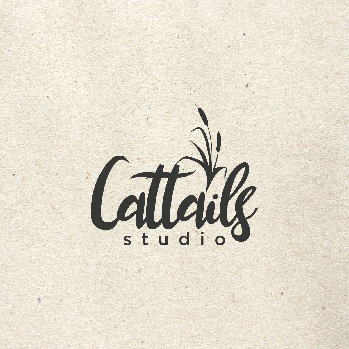 Cattails Studio — Brand identity